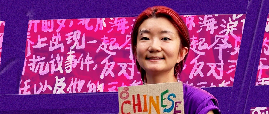 40c05867-adae-4c00-8f47-919eb024f119_900x383.jpg